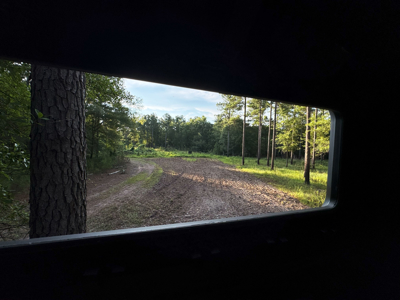 Welcome to Cypress Grove, a rare 456-ac recreation & hunting land - image 19