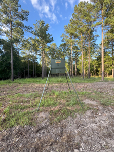 Welcome to Cypress Grove, a rare 456-ac recreation & hunting land - image 28