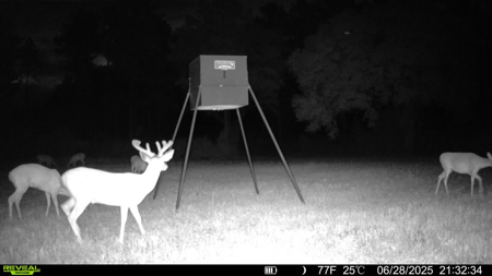 Welcome to Cypress Grove, a rare 456-ac recreation & hunting land - image 35
