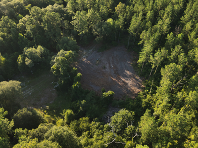 Welcome to Cypress Grove, a rare 456-ac recreation & hunting land - image 8