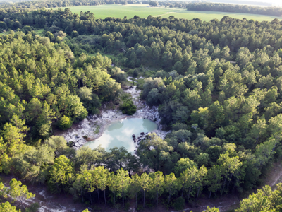 Welcome to Cypress Grove, a rare 456-ac recreation & hunting land - image 7