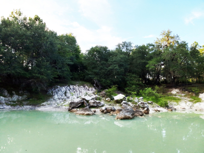 Welcome to Cypress Grove, a rare 456-ac recreation & hunting land - image 1