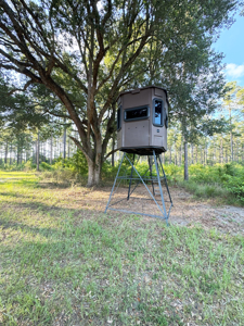 Welcome to Cypress Grove, a rare 456-ac recreation & hunting land - image 21