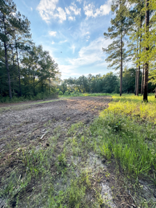 Welcome to Cypress Grove, a rare 456-ac recreation & hunting land - image 26