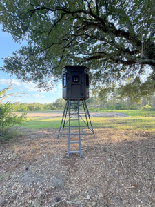 Welcome to Cypress Grove, a rare 456-ac recreation & hunting land - image 22