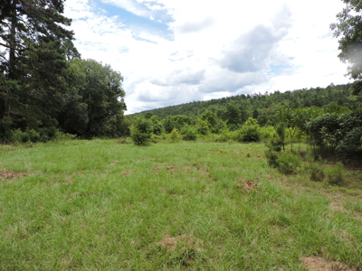 Secluded Cabin Retreat Surrounded by Ouachita National Forest - image 12