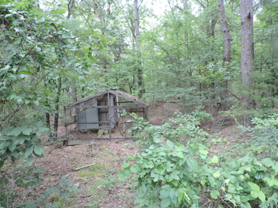 Secluded Cabin Retreat Surrounded by Ouachita National Forest - image 16