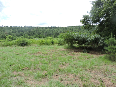 Secluded Cabin Retreat Surrounded by Ouachita National Forest - image 13