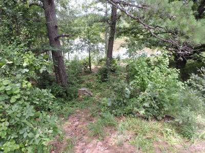 Secluded Cabin Retreat Surrounded by Ouachita National Forest - image 18