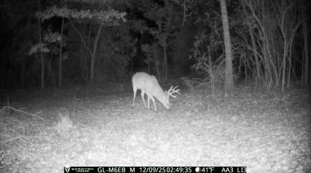 70.97 Acres - Cumbie Rd, Grady/Decatur County Line - Near Vada GA - image 30