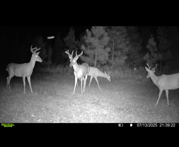 70.97 Acres - Cumbie Rd, Grady/Decatur County Line - Near Vada GA - image 18