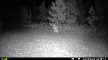 70.97 Acres - Cumbie Rd, Grady/Decatur County Line - Near Vada GA - image 20