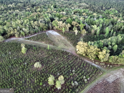 70.97 Acres - Cumbie Rd, Grady/Decatur County Line - Near Vada GA - image 9