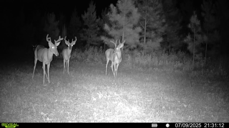 70.97 Acres - Cumbie Rd, Grady/Decatur County Line - Near Vada GA - image 22