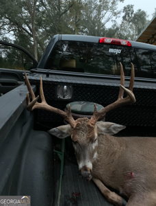 70.97 Acres - Cumbie Rd, Grady/Decatur County Line - Near Vada GA - image 7