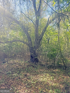 70.97 Acres - Cumbie Rd, Grady/Decatur County Line - Near Vada GA - image 3