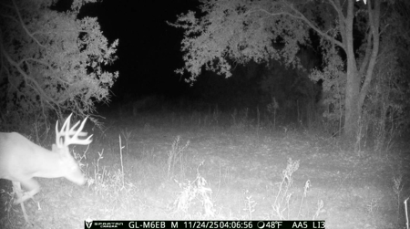70.97 Acres - Cumbie Rd, Grady/Decatur County Line - Near Vada GA - image 14
