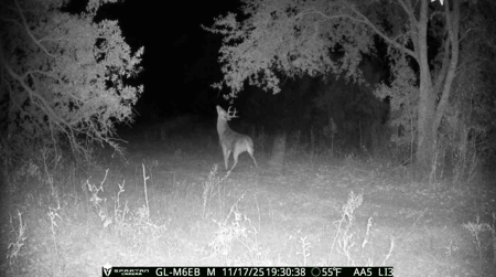 70.97 Acres - Cumbie Rd, Grady/Decatur County Line - Near Vada GA - image 31