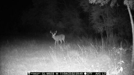 70.97 Acres - Cumbie Rd, Grady/Decatur County Line - Near Vada GA - image 12