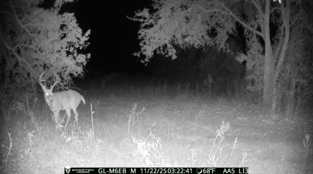 70.97 Acres - Cumbie Rd, Grady/Decatur County Line - Near Vada GA - image 13