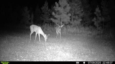 70.97 Acres - Cumbie Rd, Grady/Decatur County Line - Near Vada GA - image 21