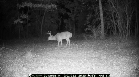 70.97 Acres - Cumbie Rd, Grady/Decatur County Line - Near Vada GA - image 32