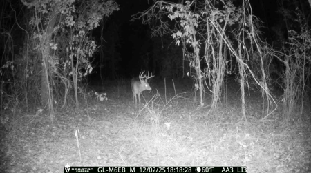 70.97 Acres - Cumbie Rd, Grady/Decatur County Line - Near Vada GA - image 28