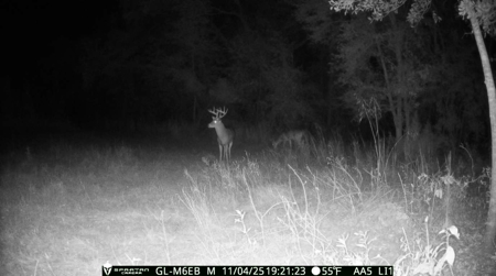 70.97 Acres - Cumbie Rd, Grady/Decatur County Line - Near Vada GA - image 34