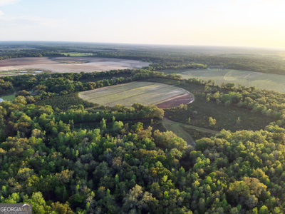 70.97 Acres - Cumbie Rd, Grady/Decatur County Line - Near Vada GA - image 10