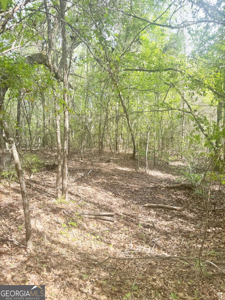 70.97 Acres - Cumbie Rd, Grady/Decatur County Line - Near Vada GA - image 6