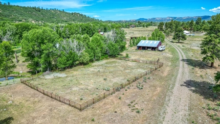 Chama NM Riverfront Acreage and Home, Horse Property - image 34