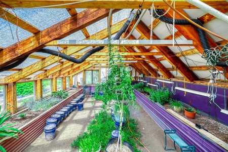 Chama NM Riverfront Acreage and Home, Horse Property - image 10