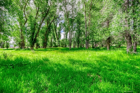 Chama NM Riverfront Acreage and Home, Horse Property - image 32