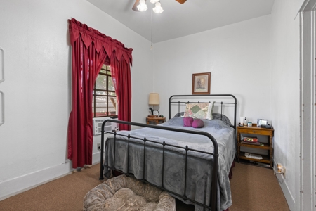 Texas Country Living with Extras - image 17