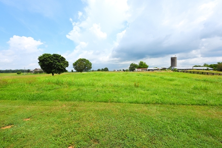 11-Acre Hobby Farm, Large House, 2 Barns, Shop, Country Living - image 49