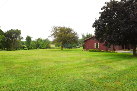 11-Acre Hobby Farm, Large House, 2 Barns, Shop, Country Living - image 8