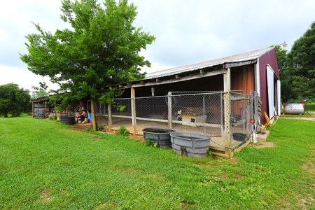 11-Acre Hobby Farm, Large House, 2 Barns, Shop, Country Living - image 39