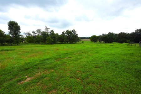 11-Acre Hobby Farm, Large House, 2 Barns, Shop, Country Living - image 45