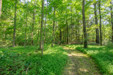 Secluded Country Cabin for Sale near TN / KY State Line - image 39