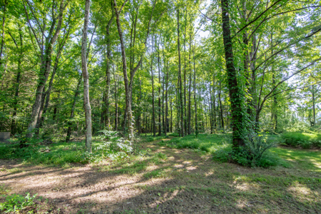 Secluded Country Cabin for Sale near TN / KY State Line - image 35