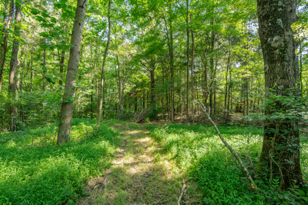 Secluded Country Cabin for Sale near TN / KY State Line - image 38