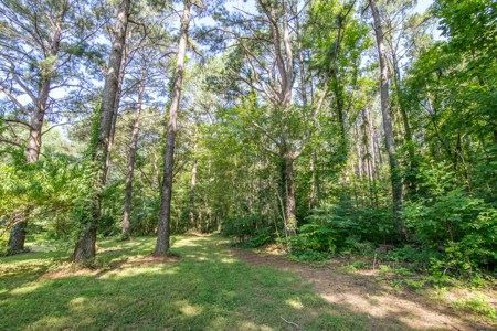 Secluded Country Cabin for Sale near TN / KY State Line - image 36