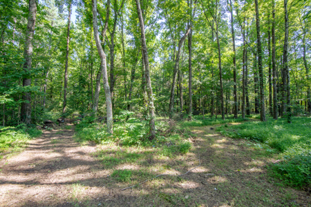 Secluded Country Cabin for Sale near TN / KY State Line - image 42