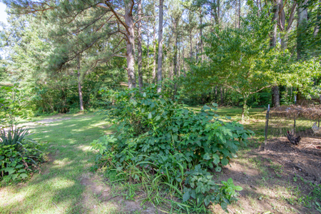 Secluded Country Cabin for Sale near TN / KY State Line - image 30