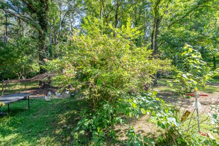 Secluded Country Cabin for Sale near TN / KY State Line - image 33