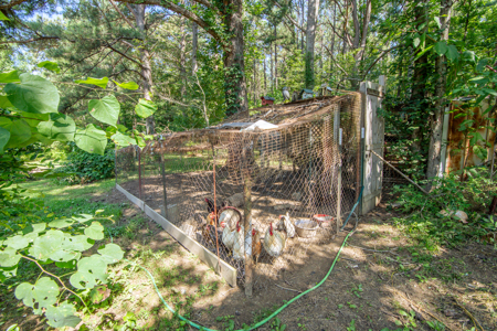 Secluded Country Cabin for Sale near TN / KY State Line - image 28