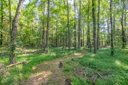 Secluded Country Cabin for Sale near TN / KY State Line - image 41
