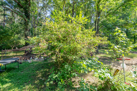 Secluded Country Cabin for Sale near TN / KY State Line - image 32
