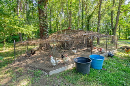 Secluded Country Cabin for Sale near TN / KY State Line - image 29