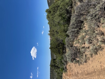 Off Grid Cabin or RV Land for Sale near Rio Chama Wildlife Area - image 7